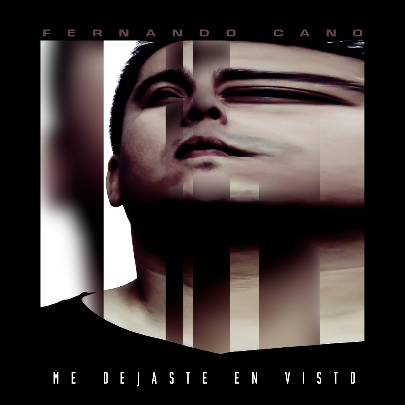 Portada de Me dejaste en visto